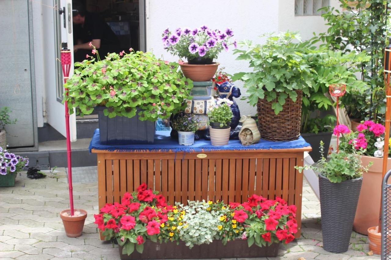 Restaurant / Pension Mainzer Tor Alsfeld Exterior foto
